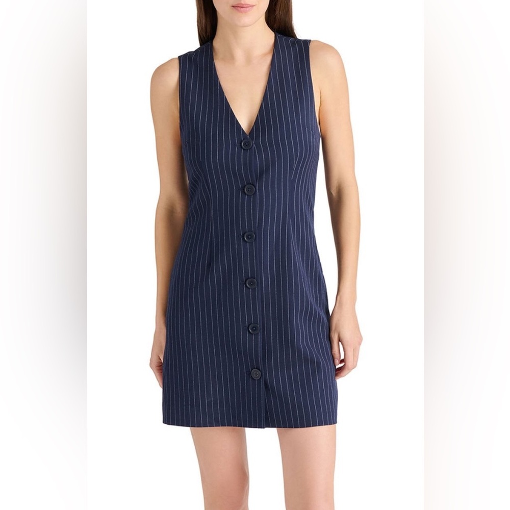 Steve Madden Navy Pinstripe Mini Dress